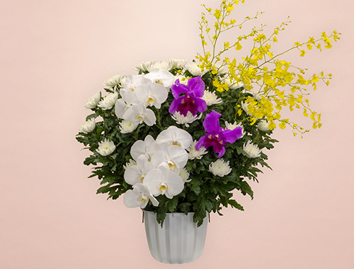 葬儀式・法事用 供花 白菊 HK3-M300