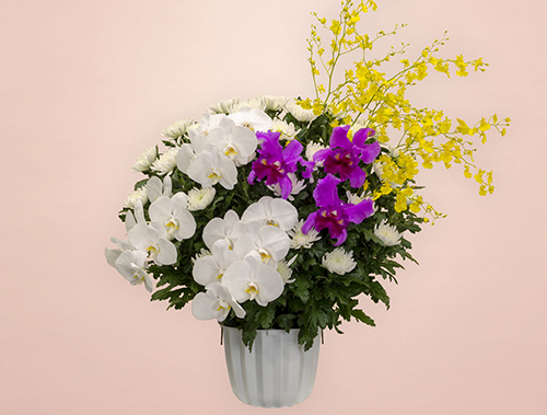 葬儀式・法事用 供花 白菊 HK3-M360