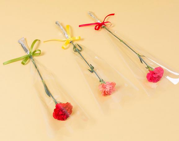 透明ラッピングタイプ カーネーション