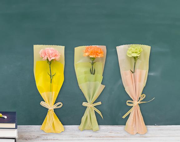 カラーラッピングタイプ カーネーション