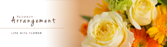 アレンジメント