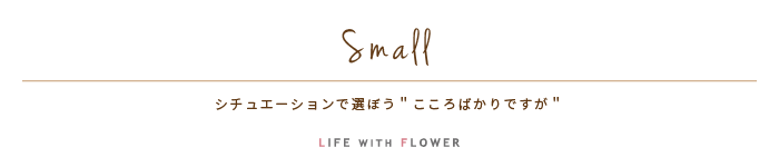 Small | シチュエーションで選ぼう「心ばかりですが…」