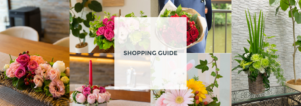 SHOPPING GUIDE