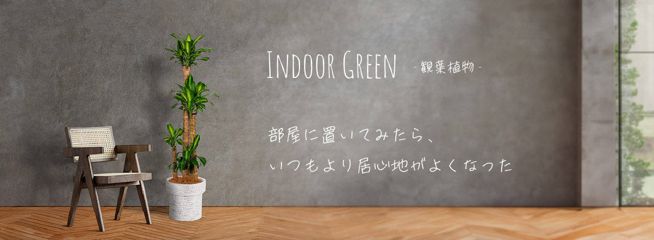 indoor Green