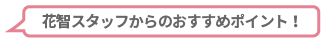 花智スタッフからのおすすめポイント