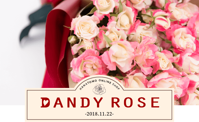 DANDY ROSE -11月22日は“良い夫婦”の日です- | HANATOMO 