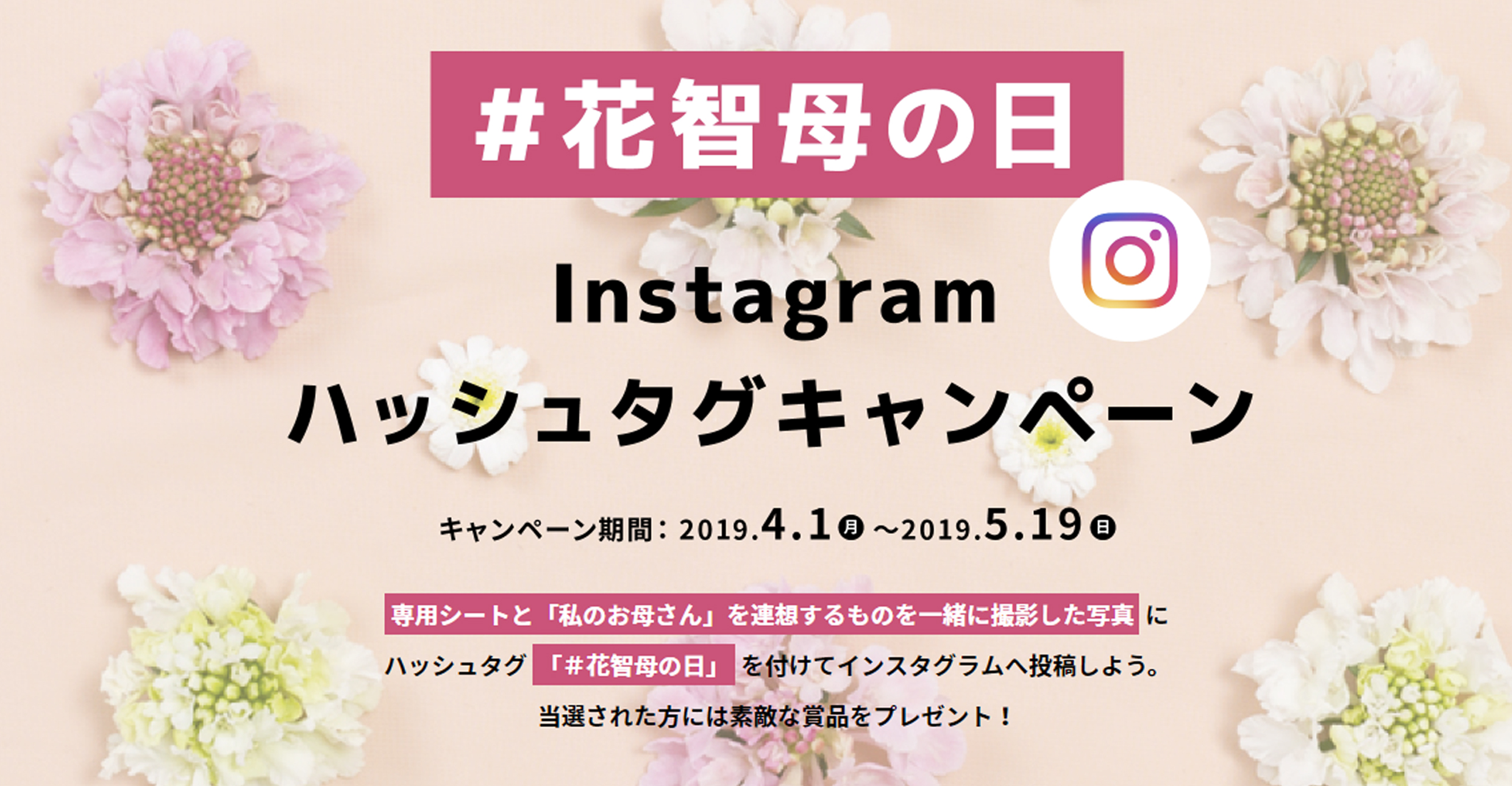 インスタグラムキャンペーン実施中！ | 株式会社花智-東京府中